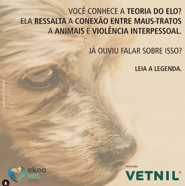 VOCÊ CONHECE A TEORIA DO ELO?