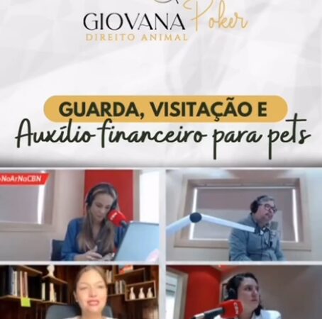 Disputa judicial sobre o direito de guarda e/ou visitação de pets.