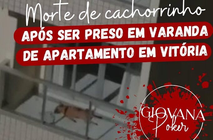 Morte de cachorrinho após ser preso em varanda em apartamento em Vitória.