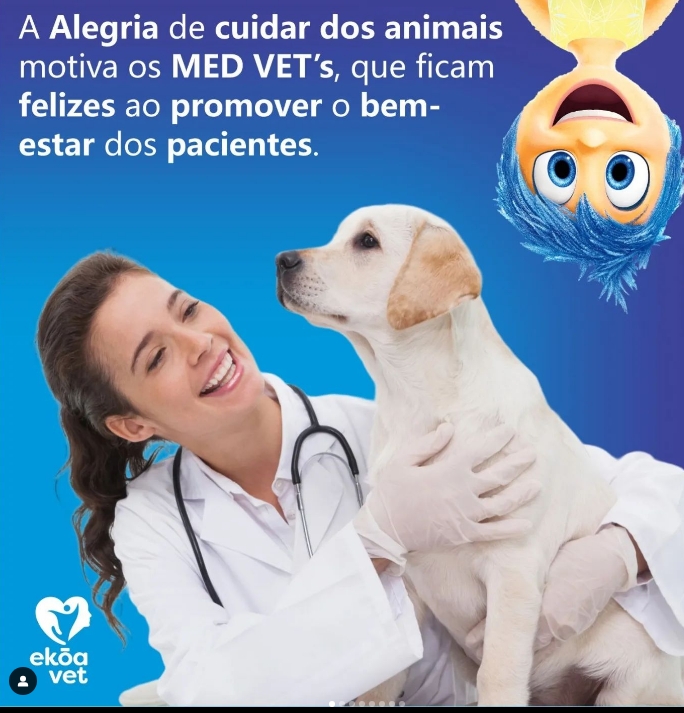 Entender nossas emoções nunca foi tão importante!