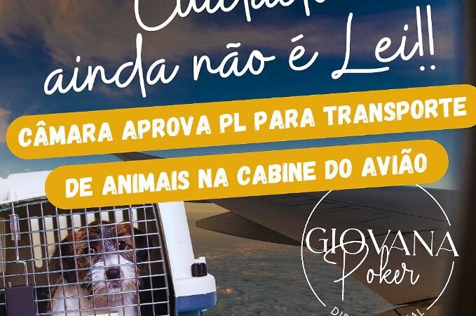 PL PARA TRANSPORTE DE ANIMAIS NA CABINE DO AVIÃO.