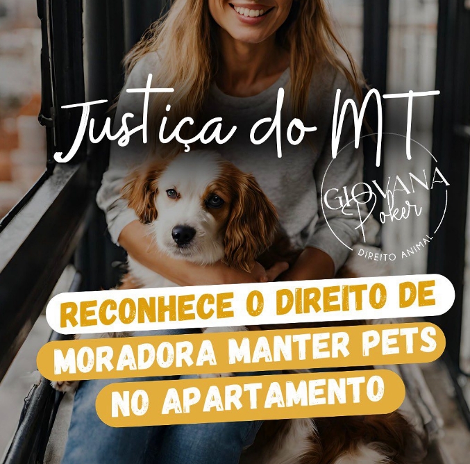 Justiça do MT reconhece o direito de moradora manter Pets no apartamento.