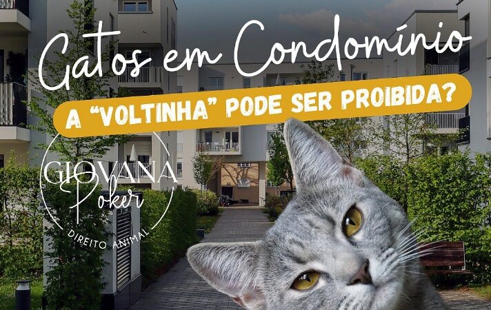 Gatos em Condomínio. A “voltinha” pode ser proibida?