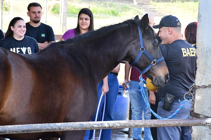Projeto Hipoterapia oferta oficina na Cavalaria do 18º Baep.