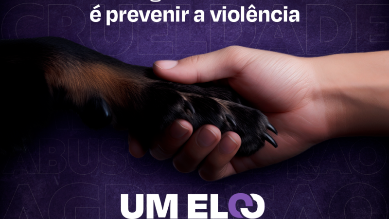 AGOSTO LILÁS | Conexão entre violência contra animais e pessoas é tema de campanha do Sistema CFMV/CRMVs.