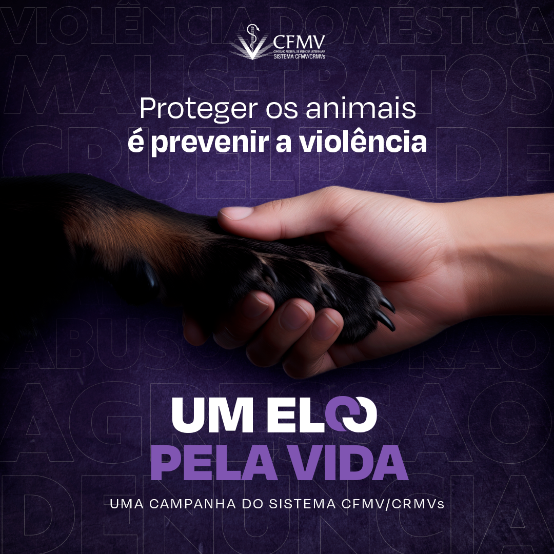 AGOSTO LILÁS | Conexão entre violência contra animais e pessoas é tema de campanha do Sistema CFMV/CRMVs.