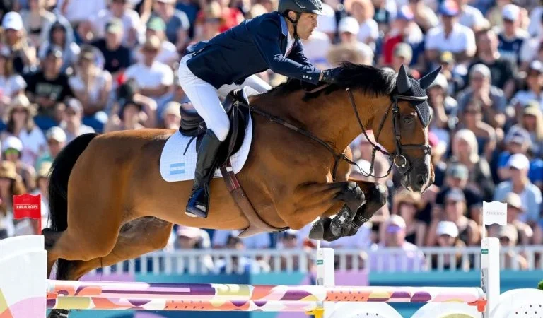 Os cavalos, a Olimpíada e o bem-estar animal.