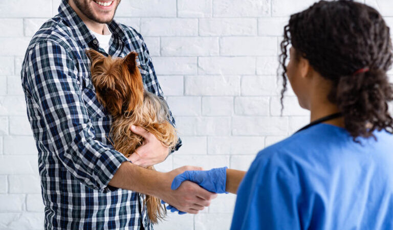 O que é atendimento humanizado na medicina veterinária?