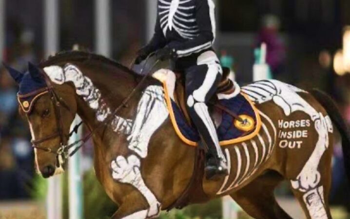 BEM-ESTAR ANIMAL NÃO É SÓ A EMBOCADURA QUE VOCÊ USA, MAS A FORMA COMO VOCÊ MONTA.