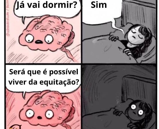 É possível viver da equitação!
