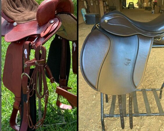 Western ou Inglesa: Qual a Melhor Sela para Iniciantes na Equitação?