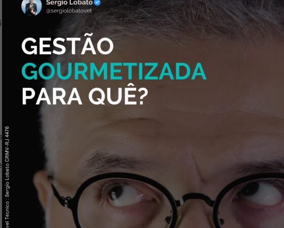 Vamos ter uma conversa bem objetiva?