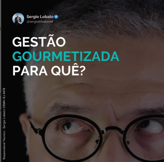 Vamos ter uma conversa bem objetiva?