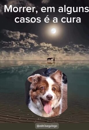 “MORRER, MUITAS VEZES É A CURA”.