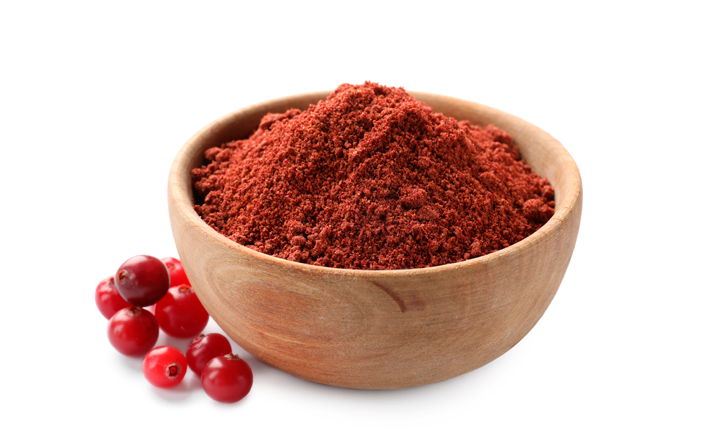 Uso do cranberry na dieta de cães e gatos.