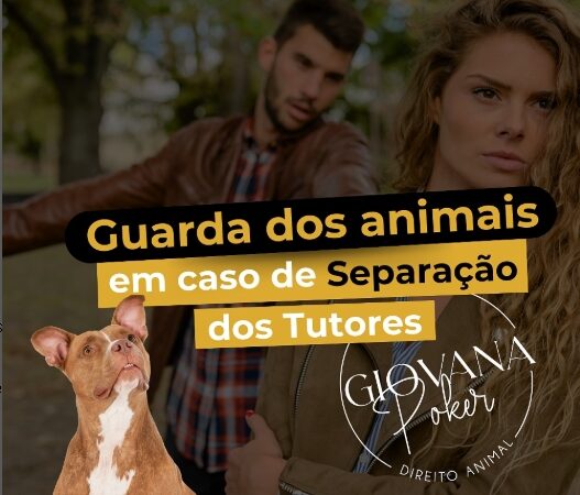 Guarda dos Animais em caso de Separação dos Tutores.