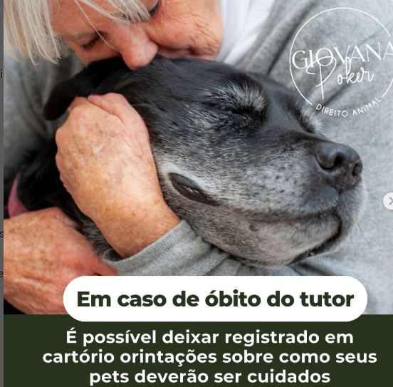 Em caso de Óbito do Tutor como ficam os Pets?