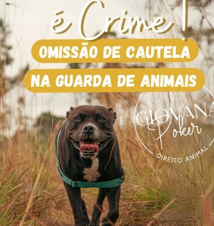 ⚠️ Esse é um assunto muito sério e que coloca a vida de animais em risco diariamente!
