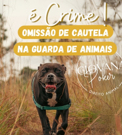 ⚠️ Esse é um assunto muito sério e que coloca a vida de animais em risco diariamente!