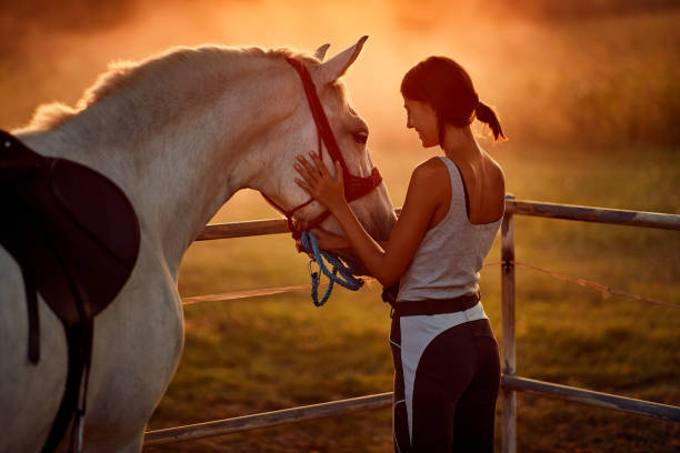 Como você resume o Cavalo na sua Vida?