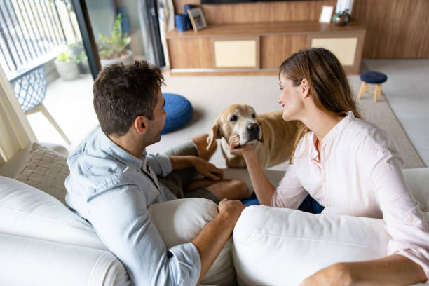Os animais trazem nas comunicações intuitivas um campo amoroso que envolve seus tutores.