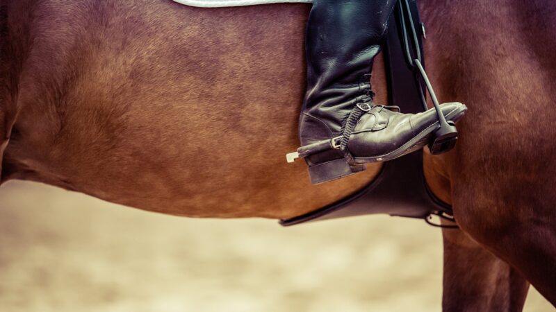 🐎 Você já sentiu que algo está fora do lugar quando está montando, como se fosse difícil encontrar o ritmo certo com seu cavalo?