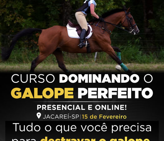 Pare de Pular na Sela e Descubra o Segredo para um Galope Fluido: Equilíbrio, Técnica e Confiança ao Seu Alcance!
