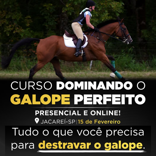 Pare de Pular na Sela e Descubra o Segredo para um Galope Fluido: Equilíbrio, Técnica e Confiança ao Seu Alcance!