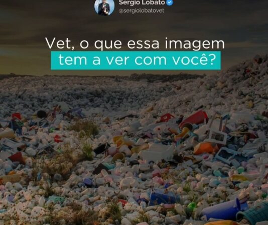 Tu és responsável pelo lixo que produzes!
