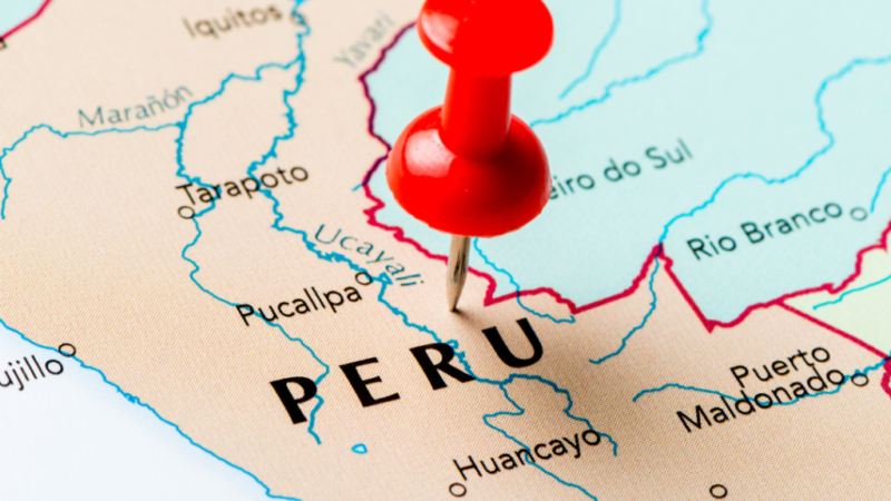 ABPA celebra habilitação de novas plantas de carne suína para o mercado do Peru.