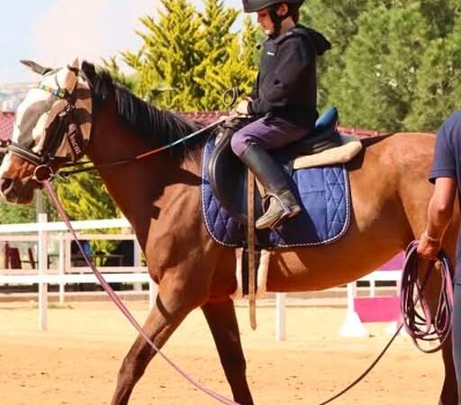 Montar a Cavalo Também Exige Cuidado com o Corpo – Por Que Ignoramos Isso?
