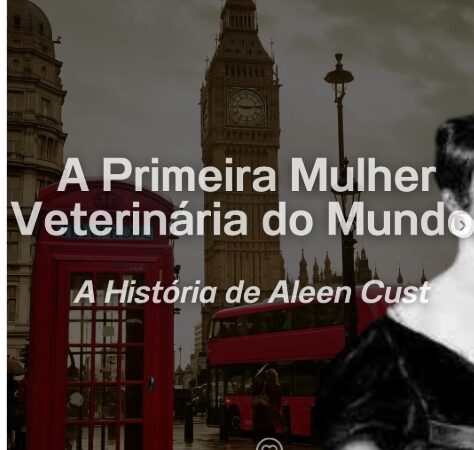 Feliz Dia Internacional da Mulher! 🌻✨💛 Carol Sant’Anna.