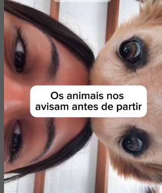 Os animais nos avisam antes de partir.