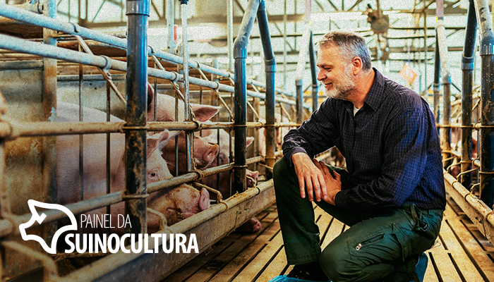 Mycoplasma hyopneumoniae – Qual é a relevância desse agente primário na saúde pulmonar?