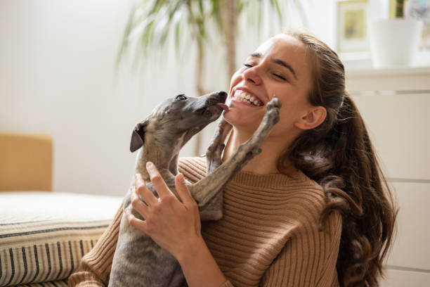 Os animais trazem nas comunicações intuitivas um campo amoroso que envolve seus tutores.