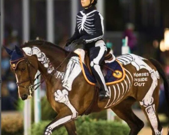 BEM-ESTAR ANIMAL NÃO É SÓ A EMBOCADURA QUE VOCÊ USA, MAS A FORMA COMO VOCÊ MONTA.