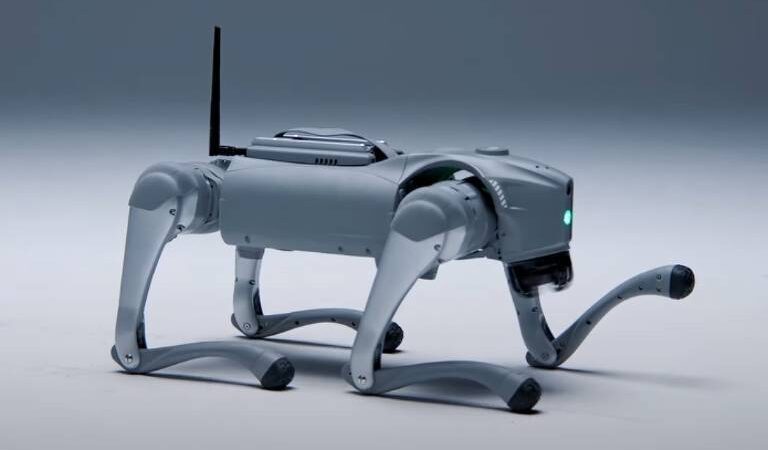 Cão-robô aprende e se adapta como humanos.
