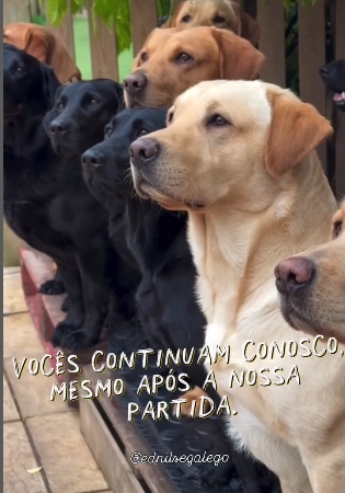 Vocês continuam conosco. Mesmo após a nossa partida.