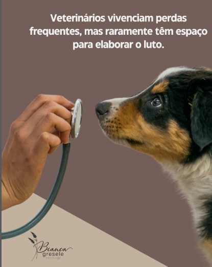 Na medicina veterinária, o luto é uma experiência silenciada.