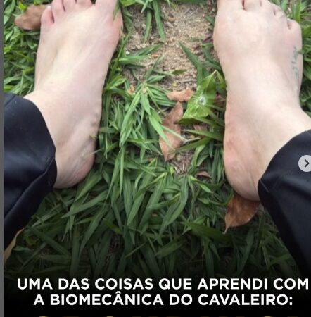 Sem grounding, somos folhas levadas pelo vento. Com grounding, somos troncos que sentem, escutam e se adaptam.