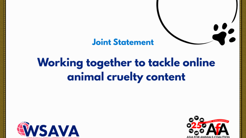 SMACC e WSAVA da AfA unem forças para combater o conteúdo online de crueldade contra animais.