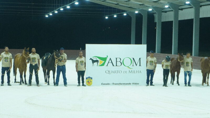ABQM participa de projeto pioneiro sobre equoterapia em parceria com UnB e Ande-BRASIL.