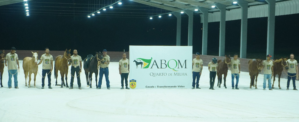 ABQM participa de projeto pioneiro sobre equoterapia em parceria com UnB e Ande-BRASIL.