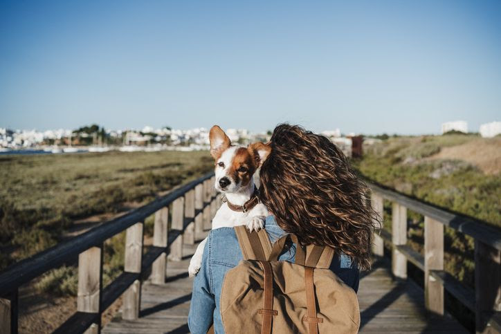 Como garantir a segurança do seu pet durante viagens de carro.