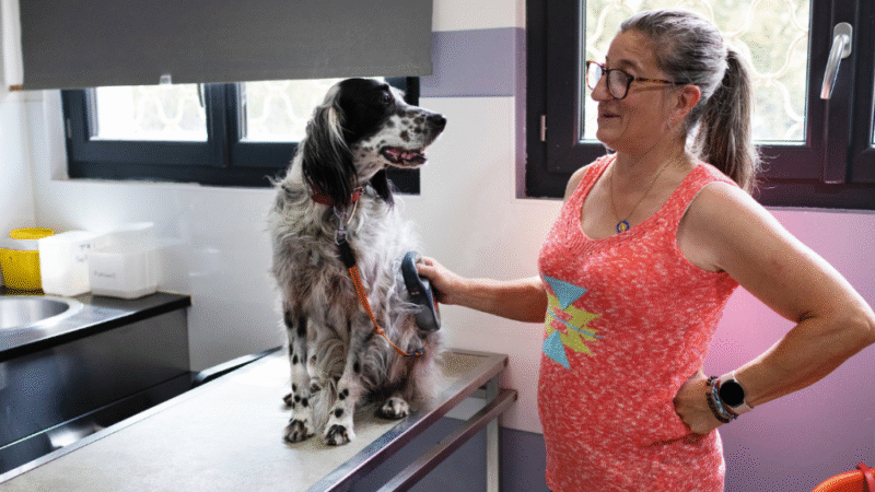 Novo kit de ferramentas de bem-estar global visa ajudar os donos de animais de estimação a manter seus cães e gatos mais saudáveis por mais tempo.