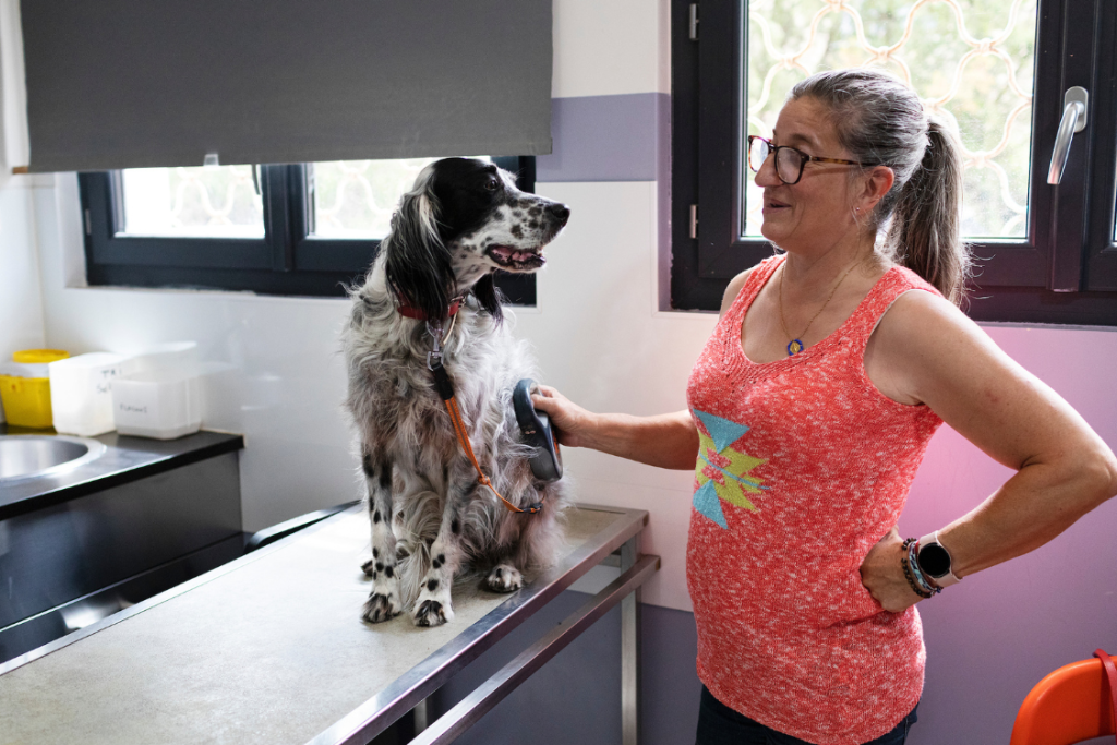 Novo kit de ferramentas de bem-estar global visa ajudar os donos de animais de estimação a manter seus cães e gatos mais saudáveis por mais tempo.