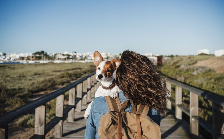 Como garantir a segurança do seu pet durante viagens de carro.