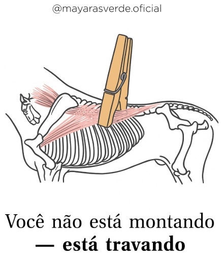 Aperta a perna, trava a pelve. Trava a pelve, endurece o dorso. Endurece o dorso… e lá se vai a equitação.”