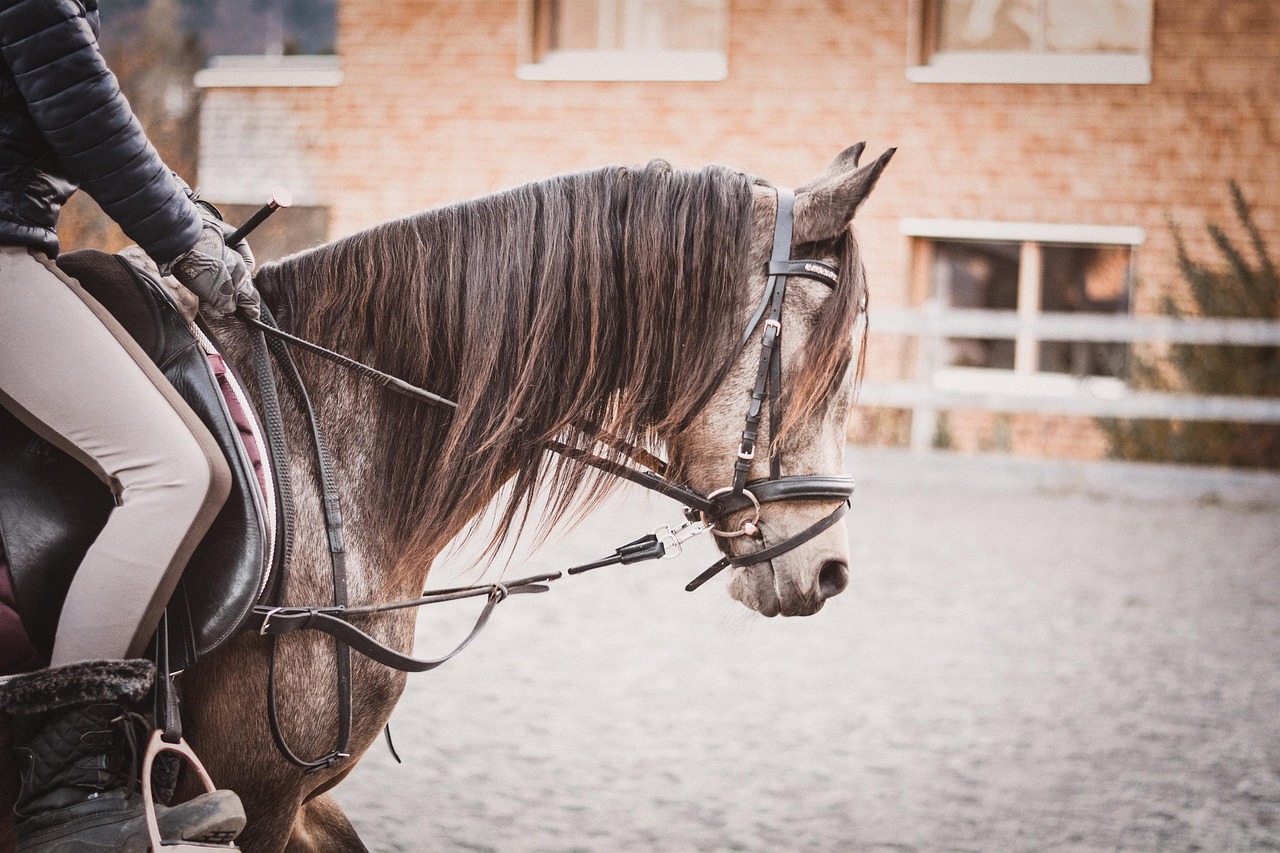 Cair do cavalo te deixou com medo? Você não está sozinho.