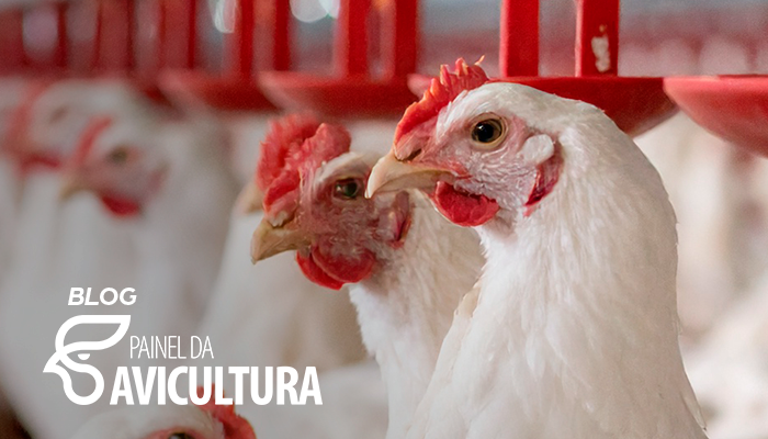 Entendendo o Reovírus Aviário – Da origem ao diagnóstico.